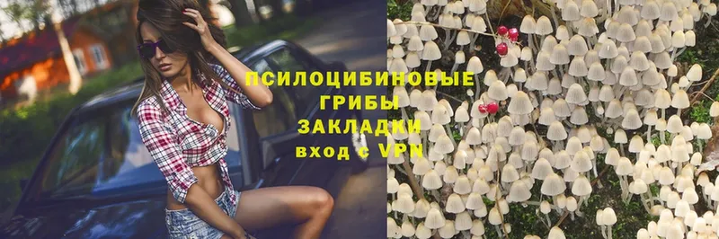 гидра ТОР  даркнет какой сайт  Псилоцибиновые грибы Psilocybe  Нахабино 